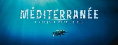 En cours de chargement de l'image affiche du film "Méditerranée l’Odyssée pour la vie"